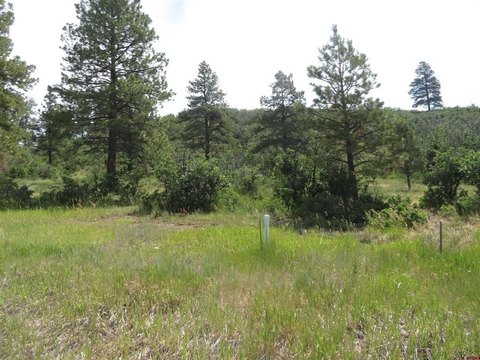 LAND - Pagosa Springs, CO