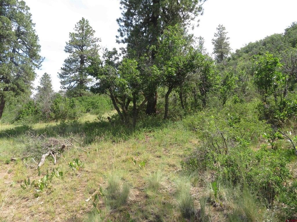 Picture 12