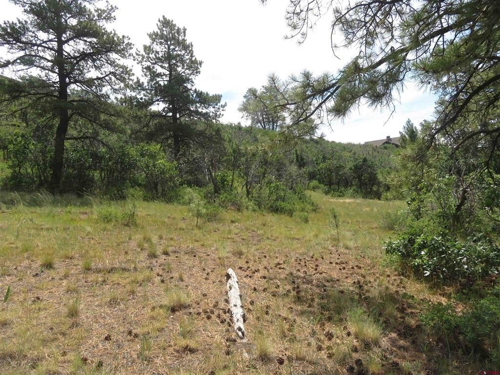 Picture 18