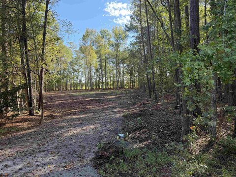 LAND, Conway, SC