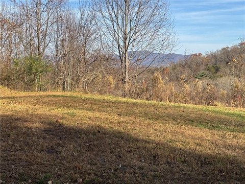 Mountain-View Homesite in Young Harris