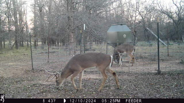 Picture 11