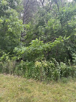 Residential Land in Saint Charles