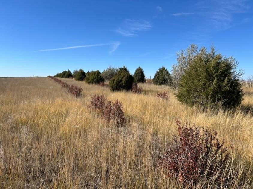 1225 Acre Nebraska Land Parcel