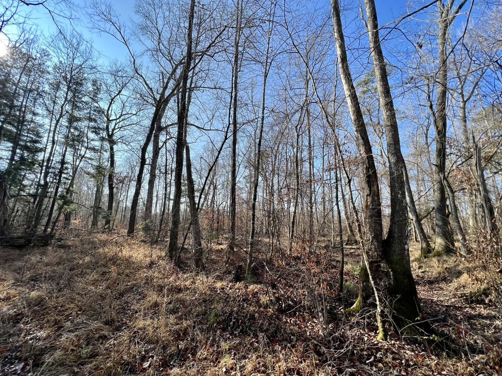 Picture 23