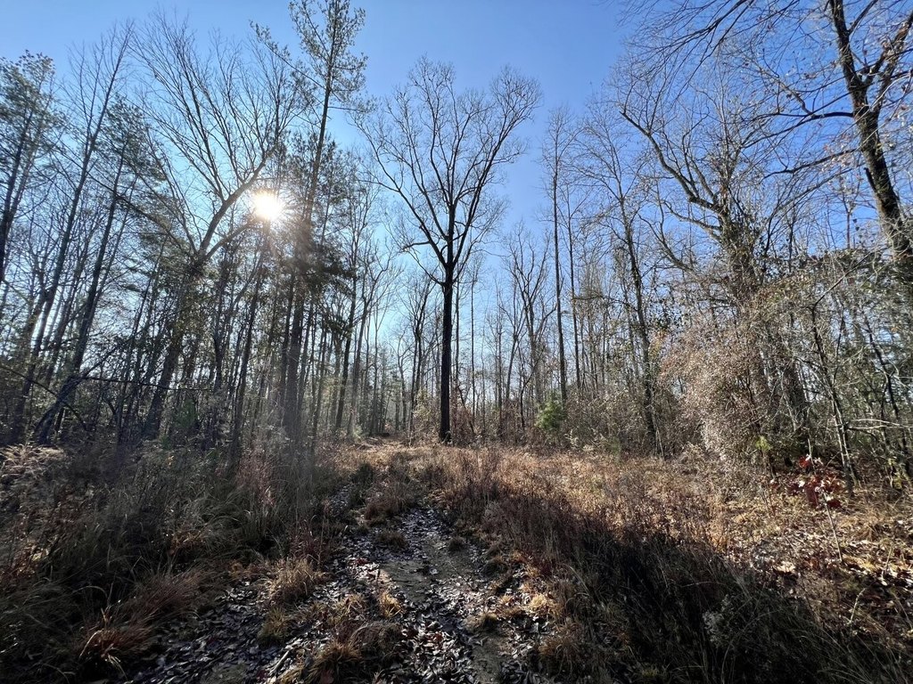 Picture 19