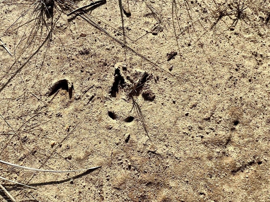Picture 14