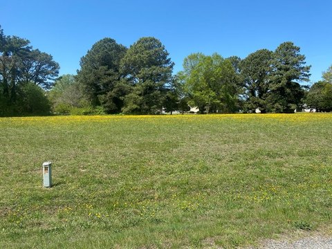 Level Building Site in Heathsville