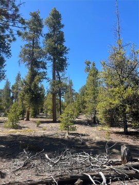 Land, Leadville, CO