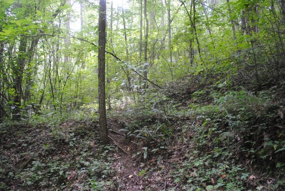 Picture 6