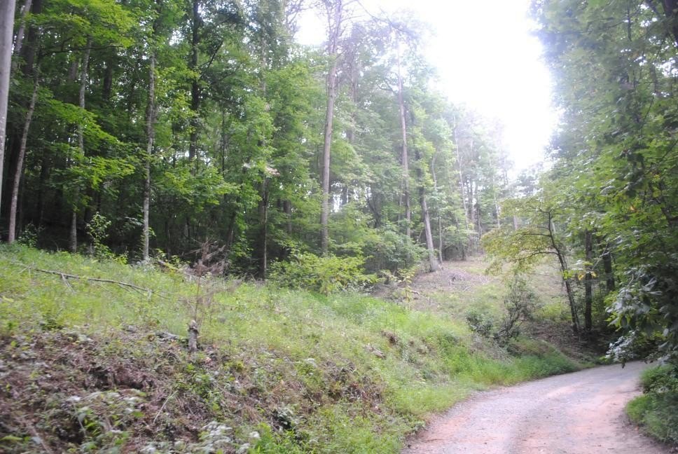 Picture 30
