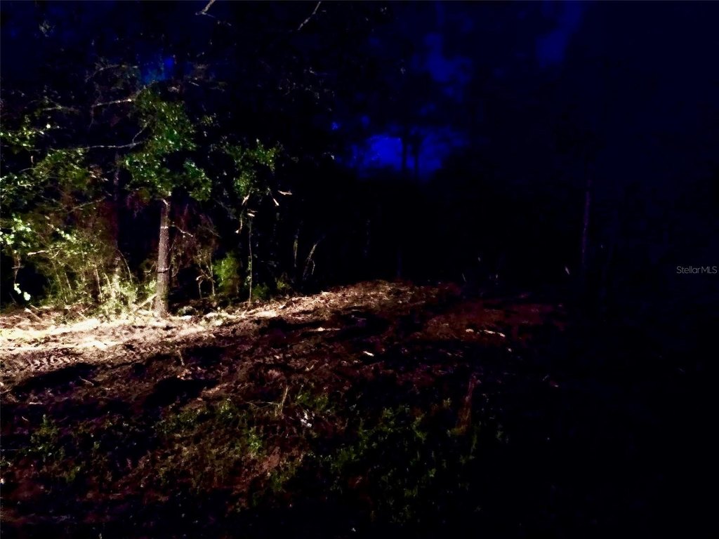Picture 22