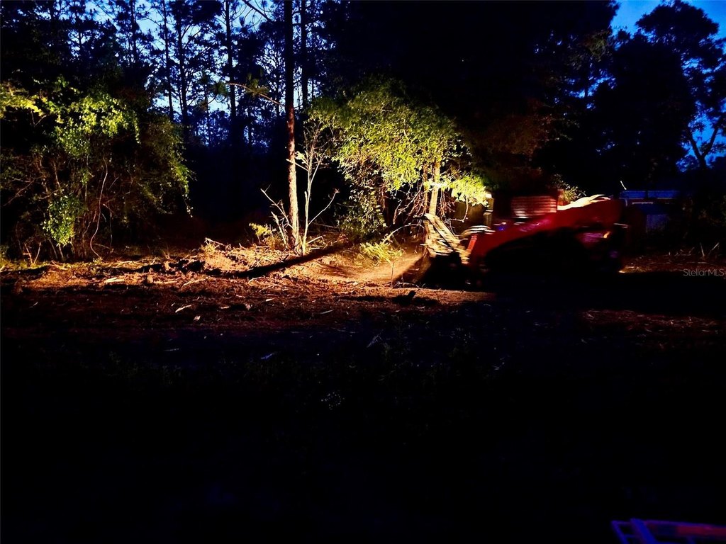 Picture 20