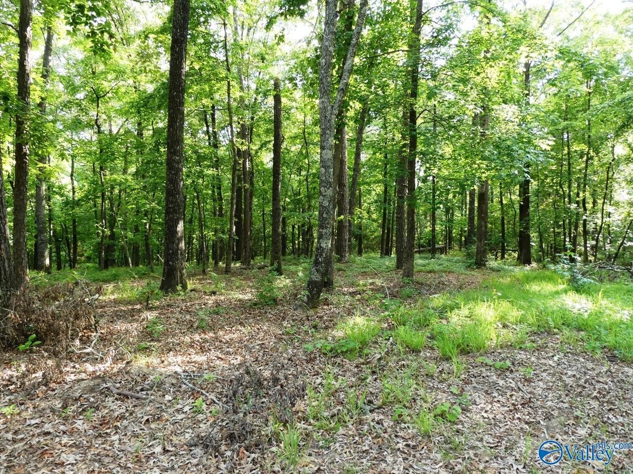 Land Near Lewis Smith Lake