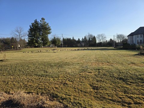 Vacant Land in Oak Brook