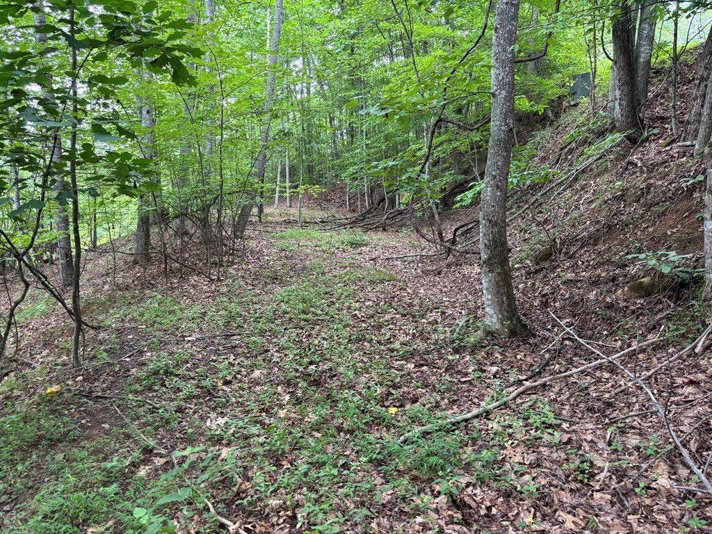 Picture 2