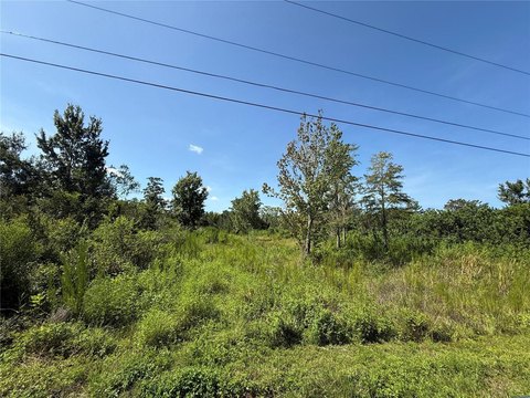 Farm-Animal Friendly Acreage Lot