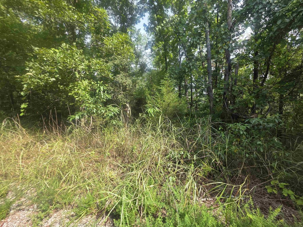 Picture 7