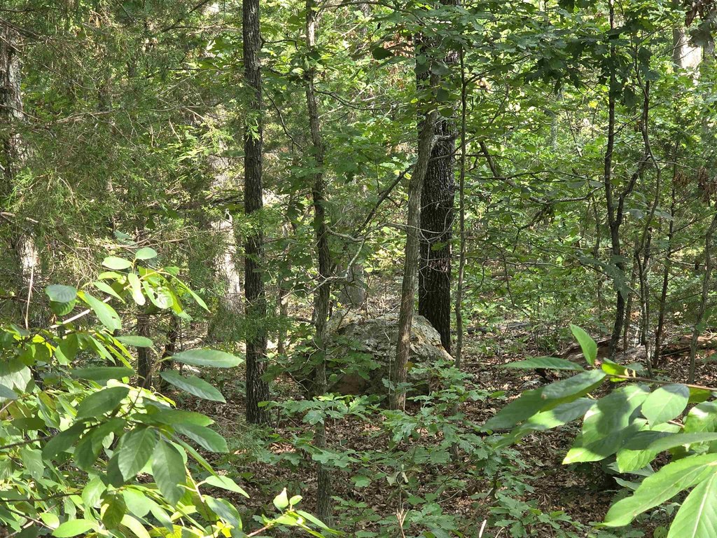 Picture 13