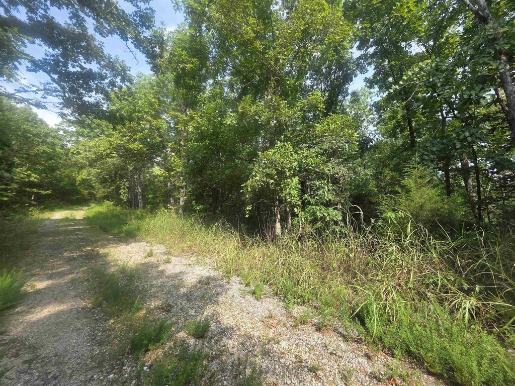 Picture 5