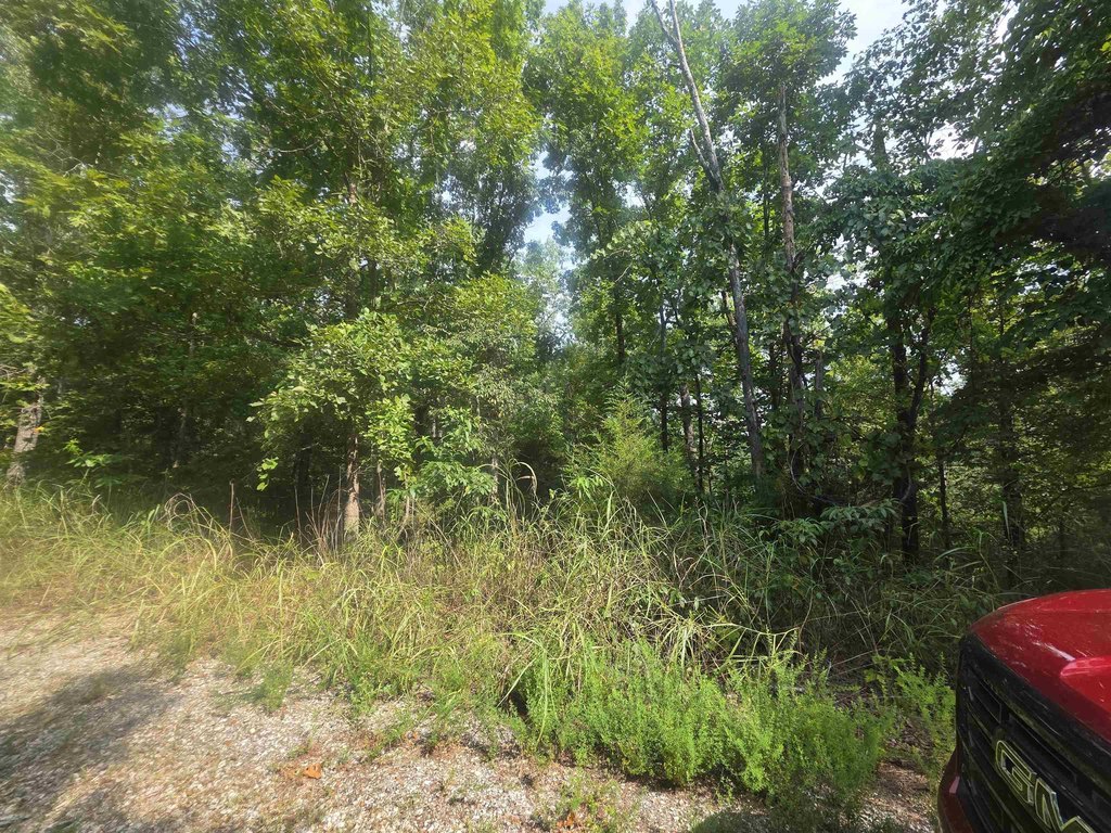 Picture 4