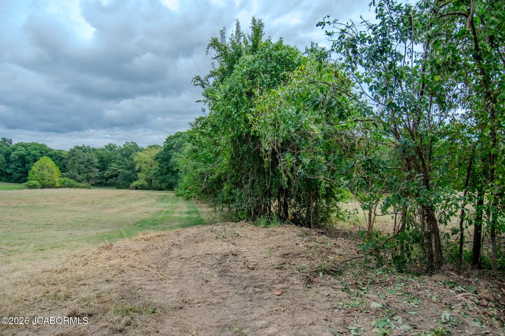 Picture 6