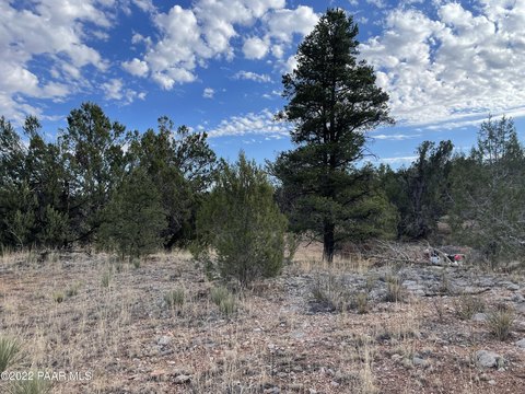 LAND - Seligman, AZ