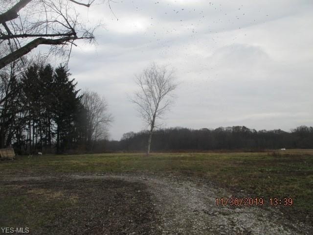 Picture 3