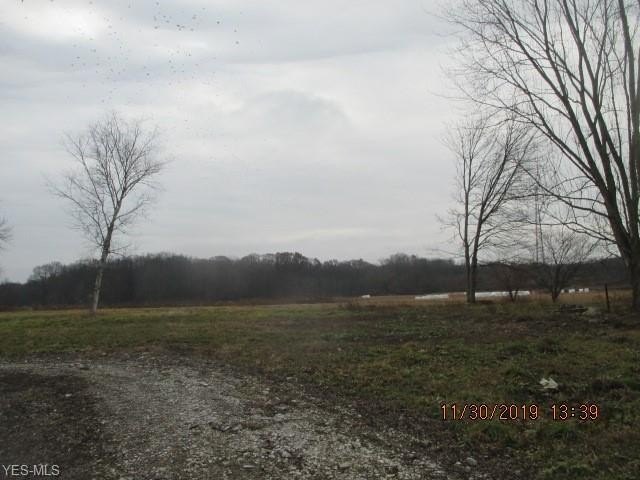 Picture 8