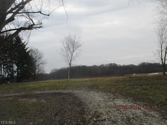 Picture 7