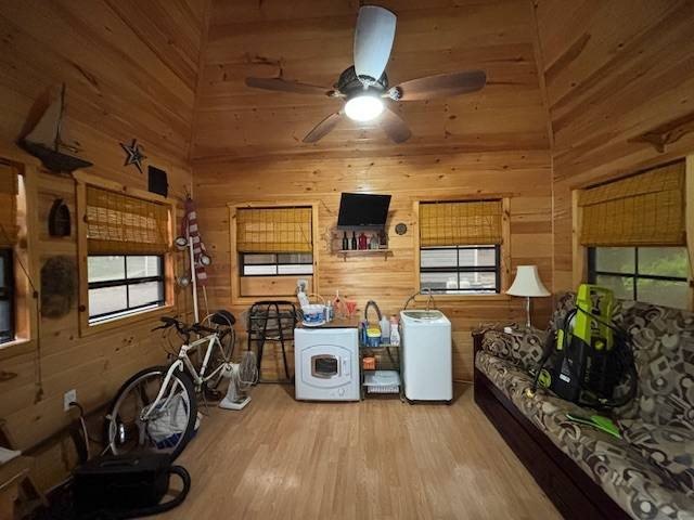 Picture 11