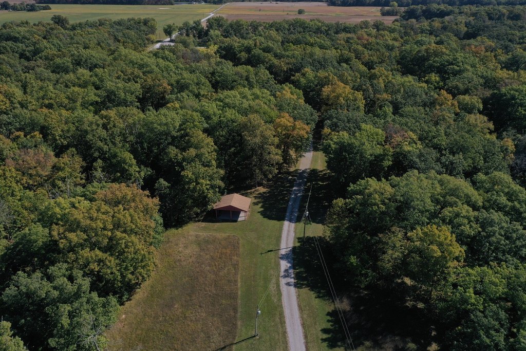 Picture 13