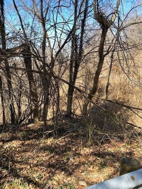 Wls Original Town St, Sistersville, WV 26175
