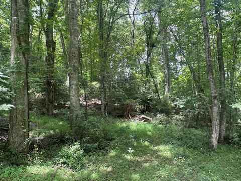 Vacant Lot, Brasstown, NC