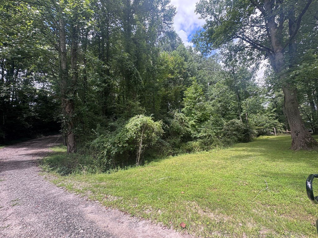 Picture 7
