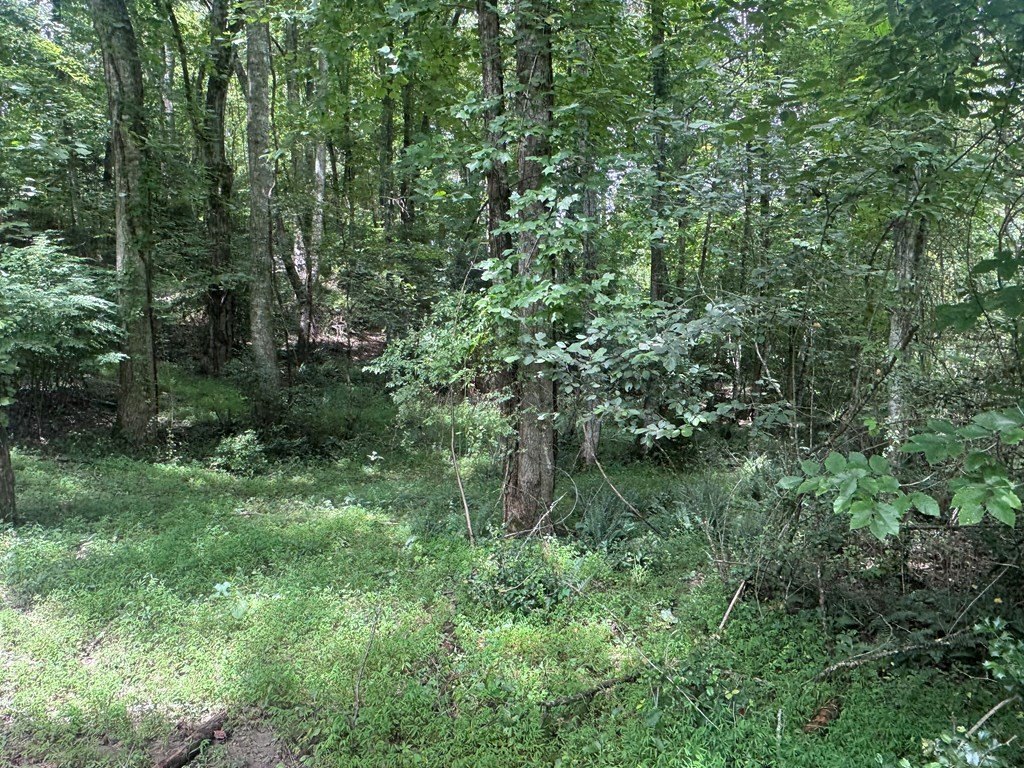 Picture 3