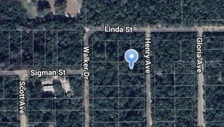Land Near Lake Grandin