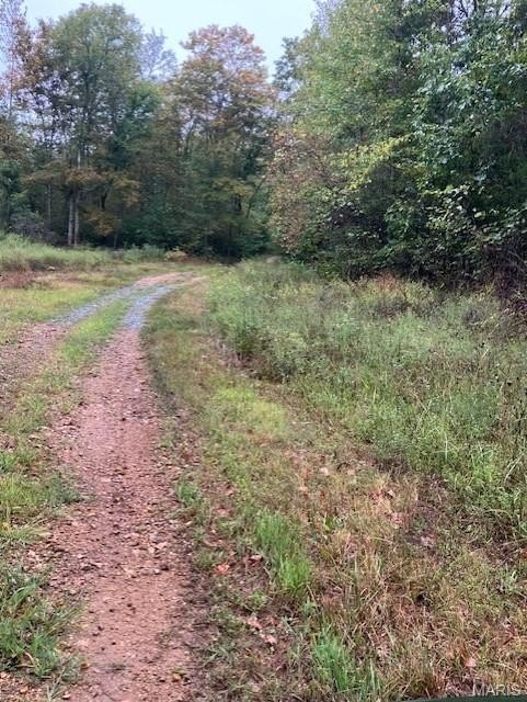 Ozark Land Near National Forest