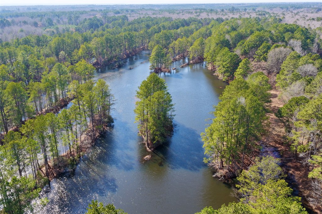 Picture 39