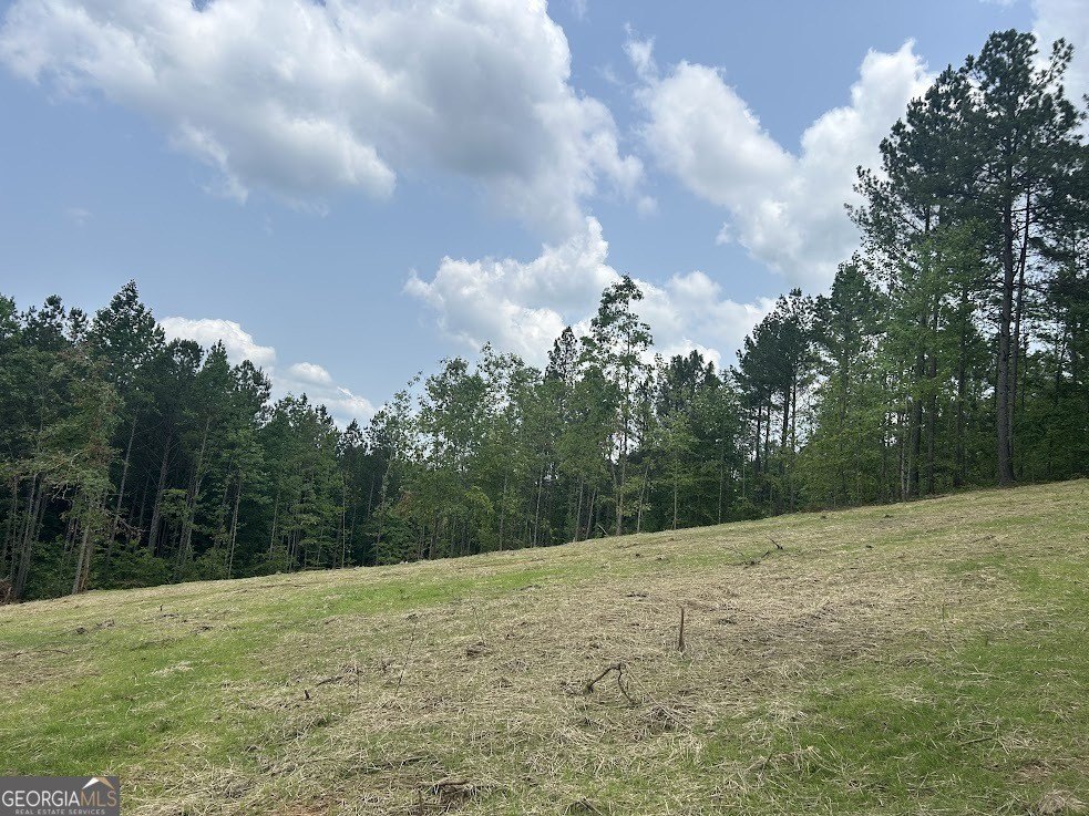 Picture 27