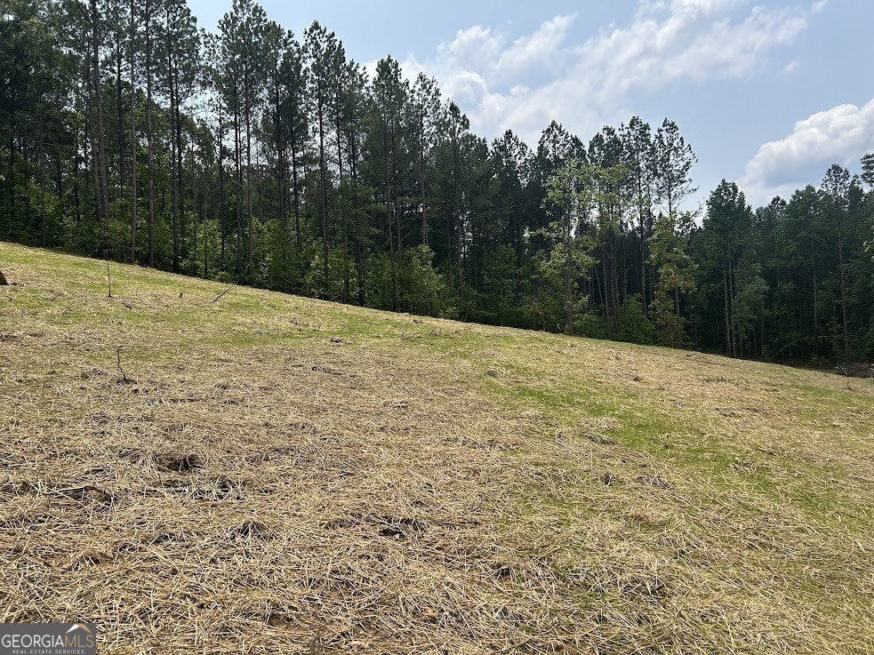Picture 18