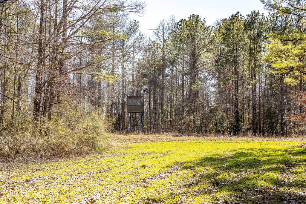 Picture 26