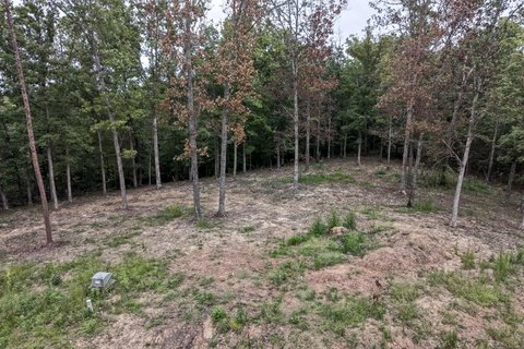 Land, Clay City, KY
