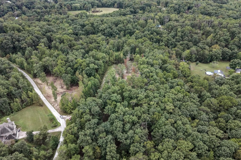 Picture 12