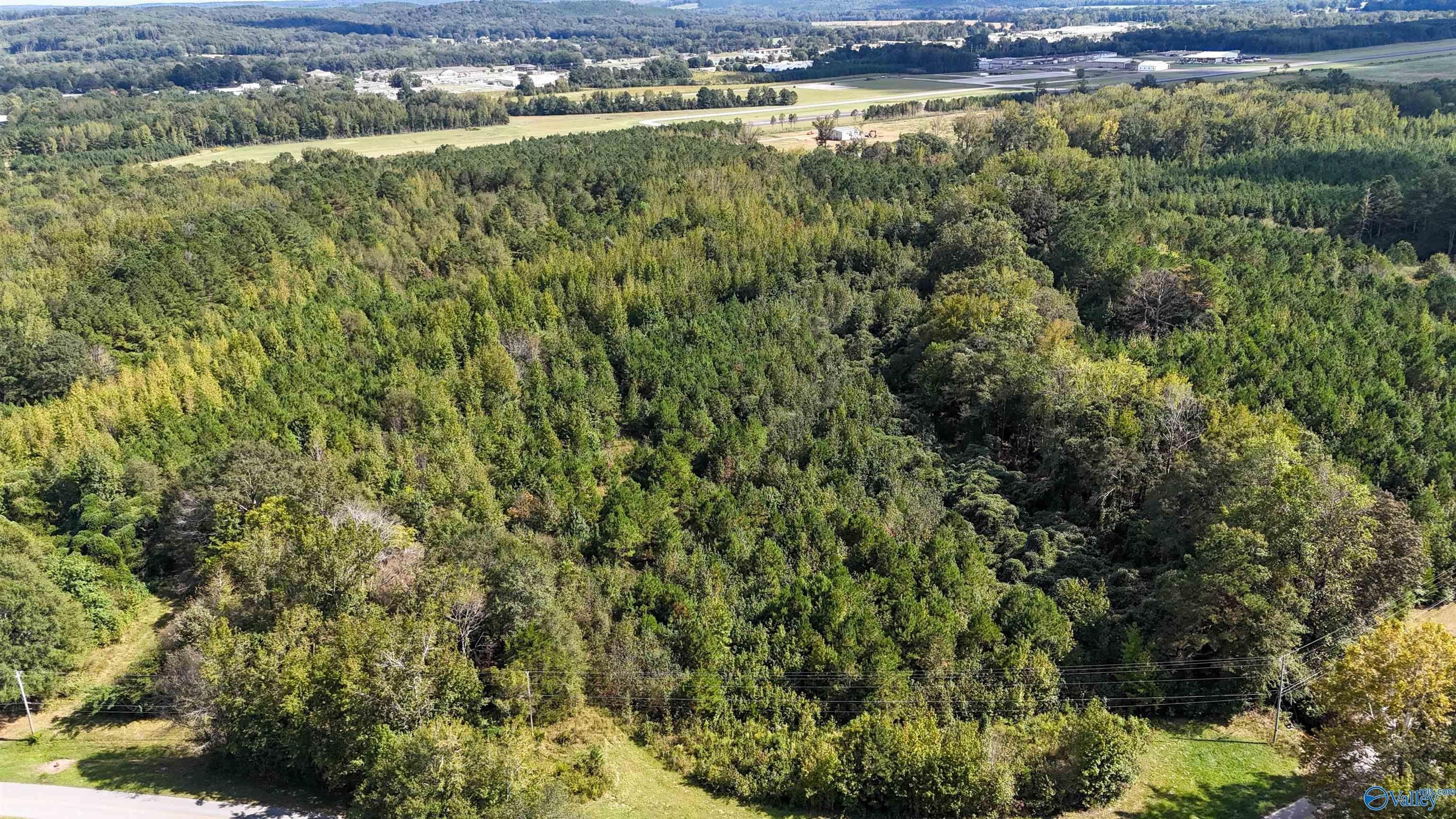 44 Acres Wooded Land Hamilton
