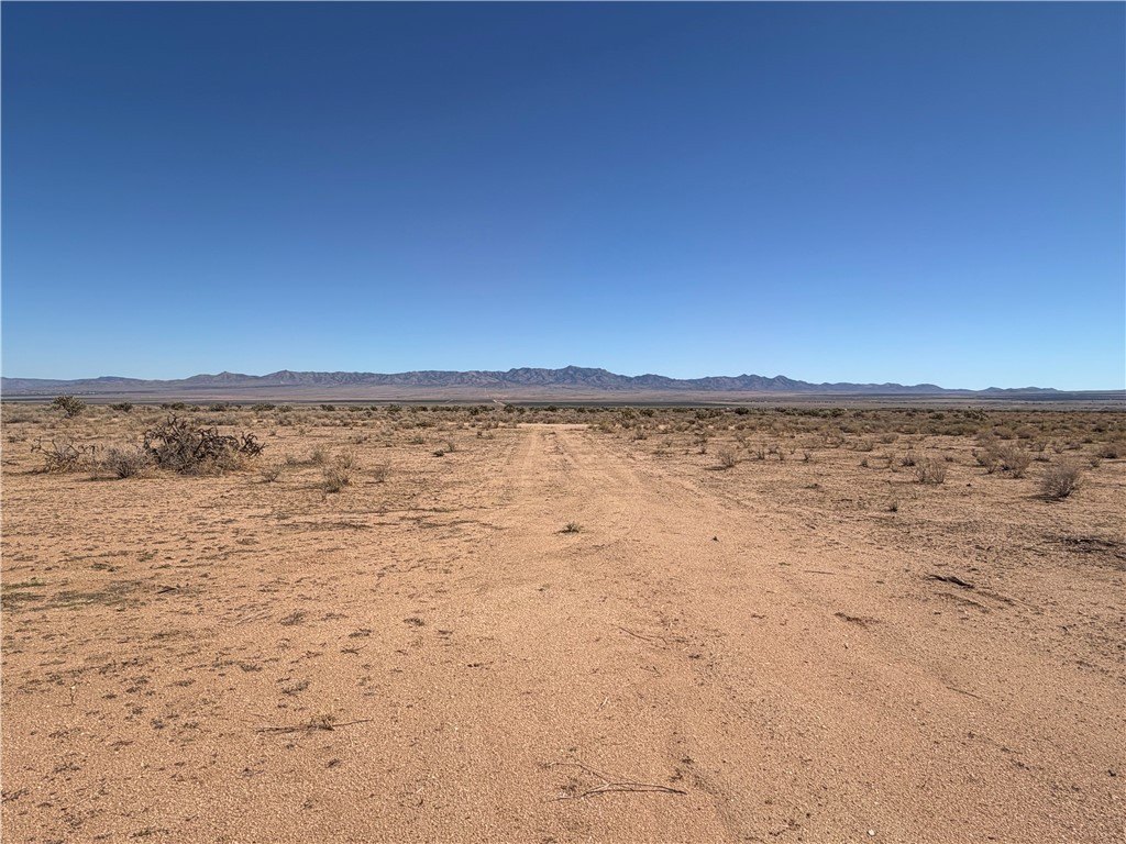 Picture 6