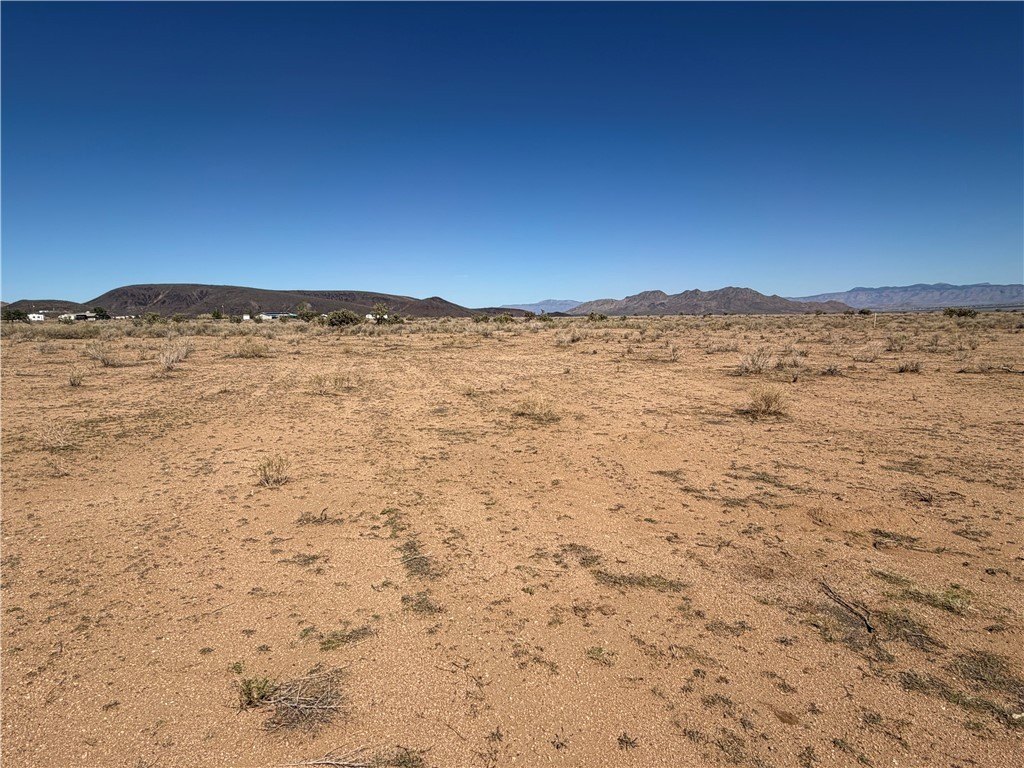 Picture 15