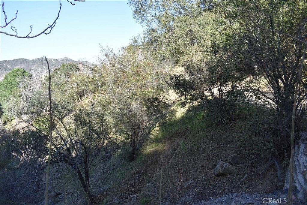 Crestline Vacant Lot Opportunity