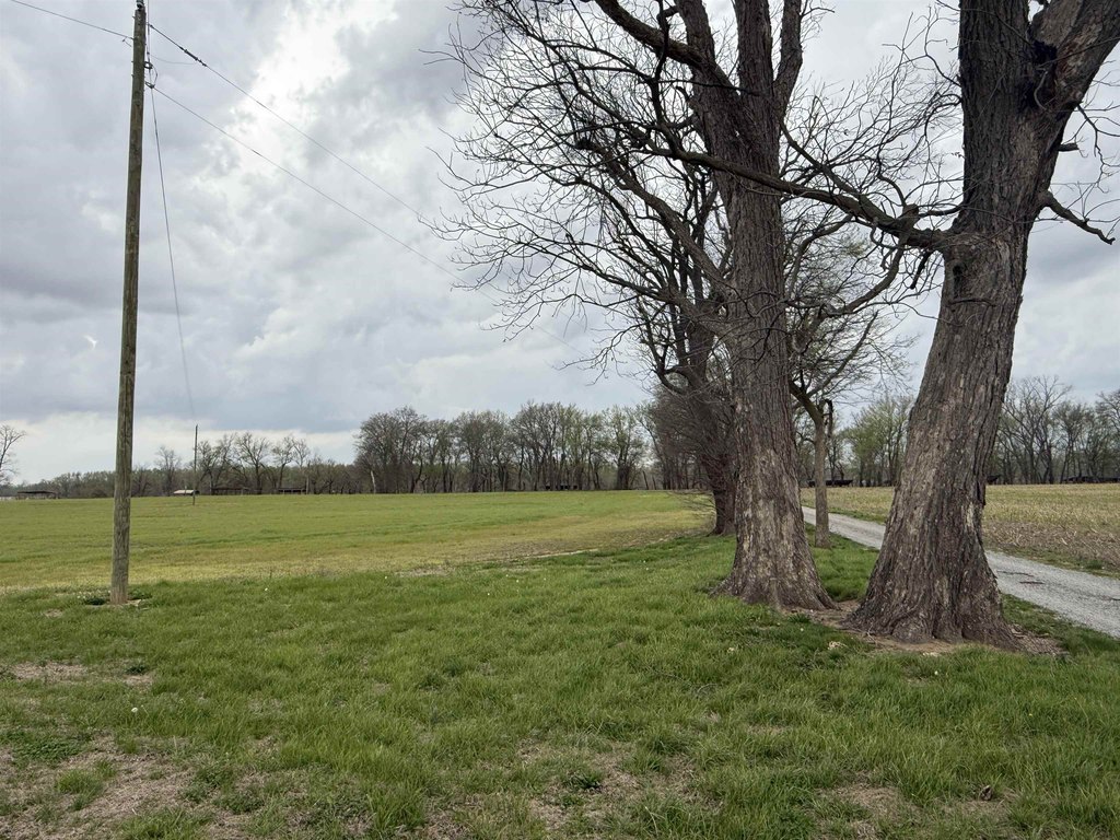 Picture 8
