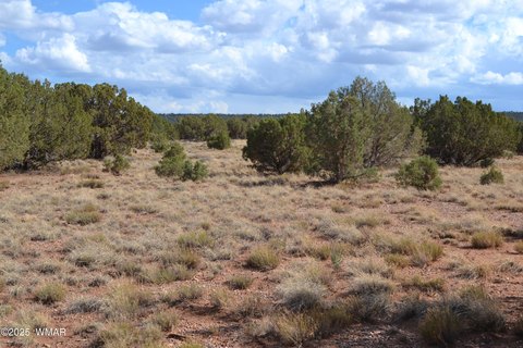 Picture of Land at Colt Rd 4161, Snowflake, AZ